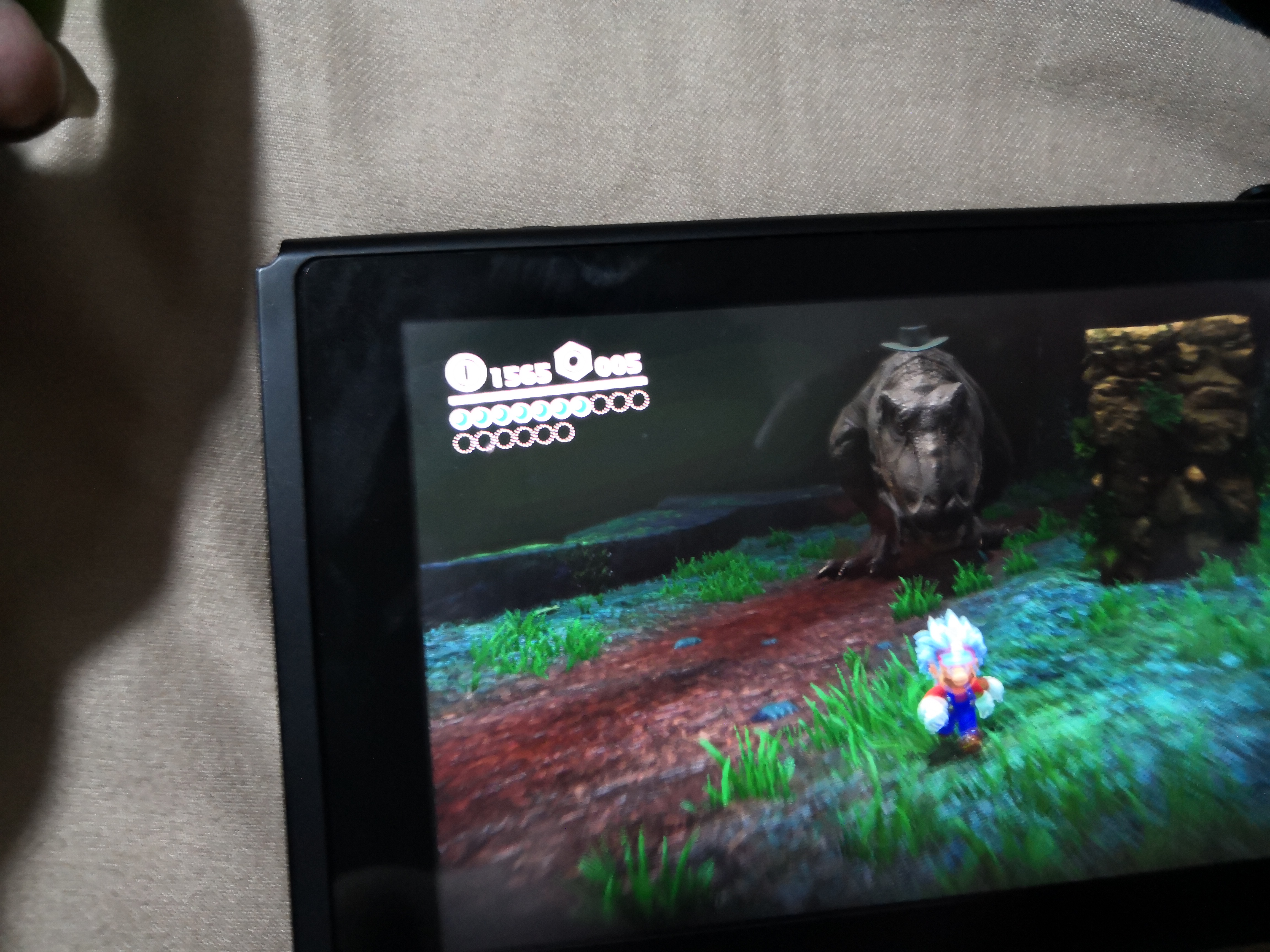 买switch之前vsswitch之后,新手买switch需要注意什么