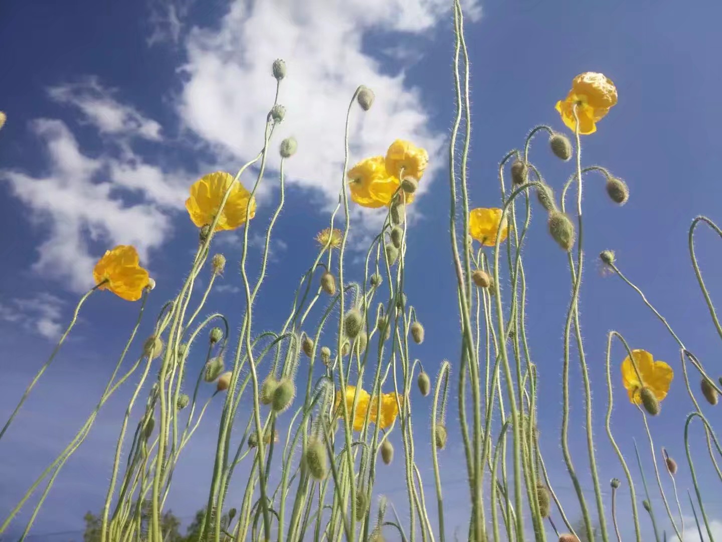 自驾车赤峰到通辽多远,骑行内蒙古331国道