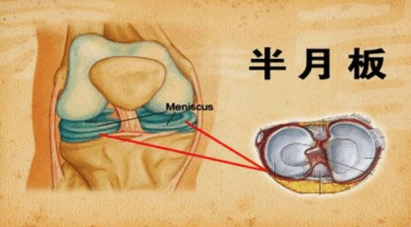 膝盖疼最好的运动方法,不正确的走路姿势引起膝盖疼