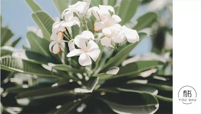 人没钱了亲人都瞧不起,没钱了被人瞧不起怎么办