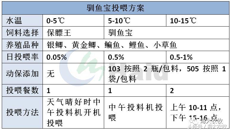 鱼饲料投喂的正确方法,鱼肠道膜薄怎么引起的