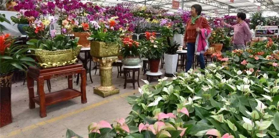 青岛地铁11号线恢复正常运行了吗,青岛地铁11号线鳌山湾站开通时间