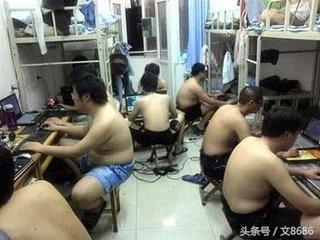 女大学生寝室养猪：确认过眼神，没想到遇上检查的人！