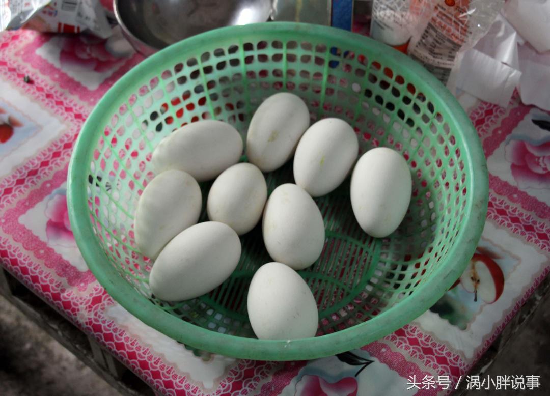 腌制咸鹅蛋的方法,咸鸭蛋鹅蛋腌制方法