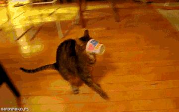 淘宝代购买到假货怎么办,淘宝售卖假货怎么排查