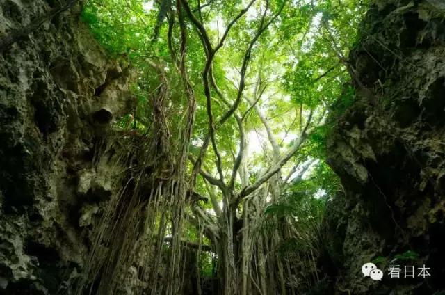 冲绳游玩,冲绳游玩攻略视频