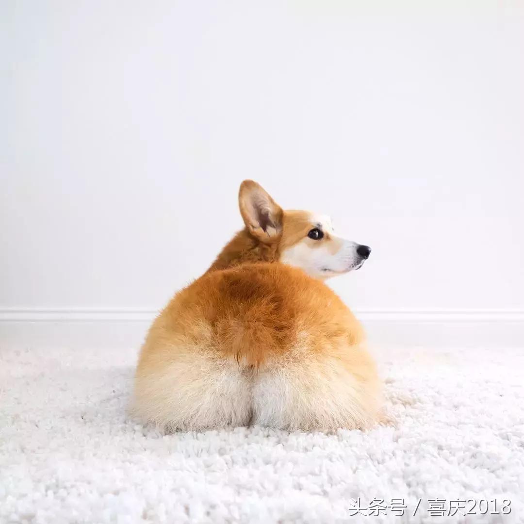 小粗腿水桶腰怎么搭配,腿粗腰粗该怎么减肥