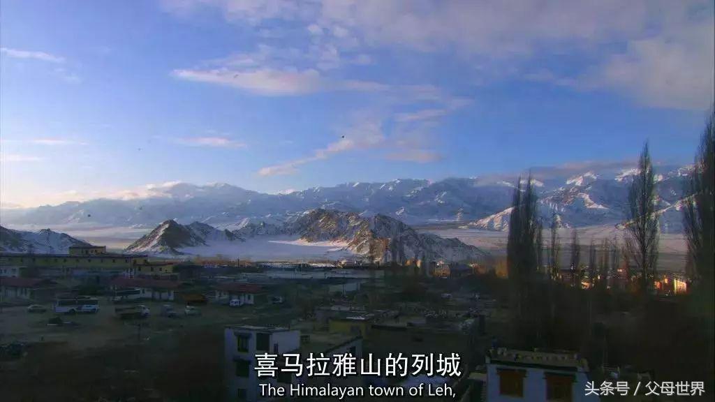 世界地球日，最适合孩子看的18部自然纪录片，趁周末，带娃看起来