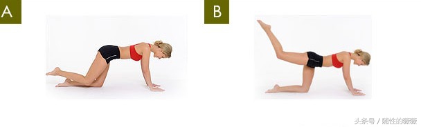 十大高效减肥瘦身运动方法,最快瘦身的减肥运动方法