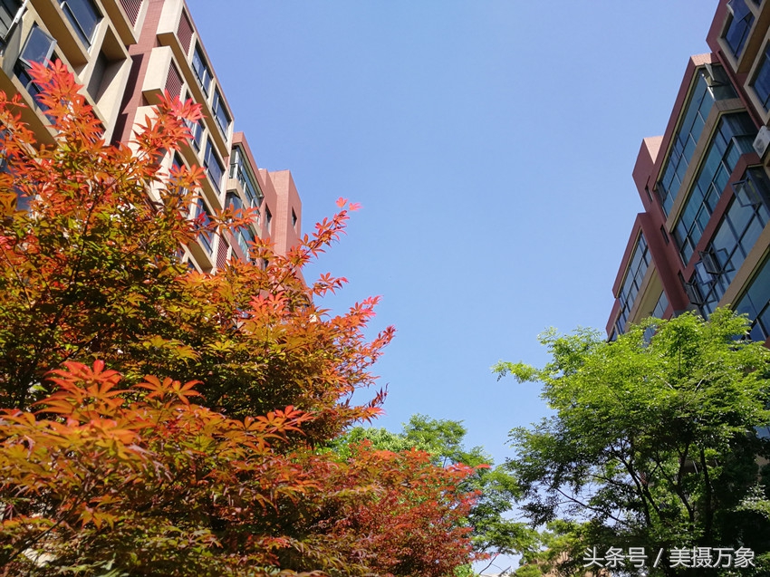 普洱茶中10大经典老茶,知名度最高的经典普洱老茶有哪些