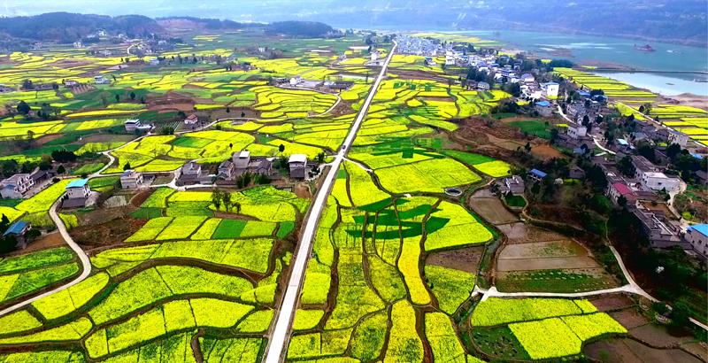 探秘苍溪王姓之源：安东将军王浑的江湖