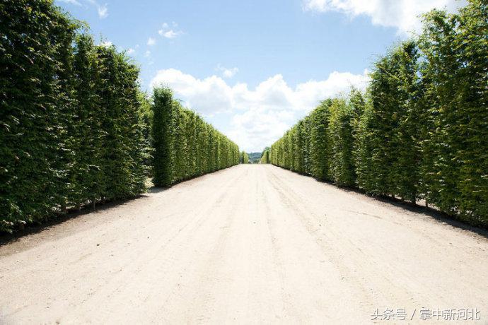 阴道竟然如此美丽