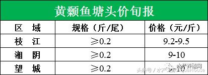 水产塘口每日最新报价,水产频道淡水鱼今日行情