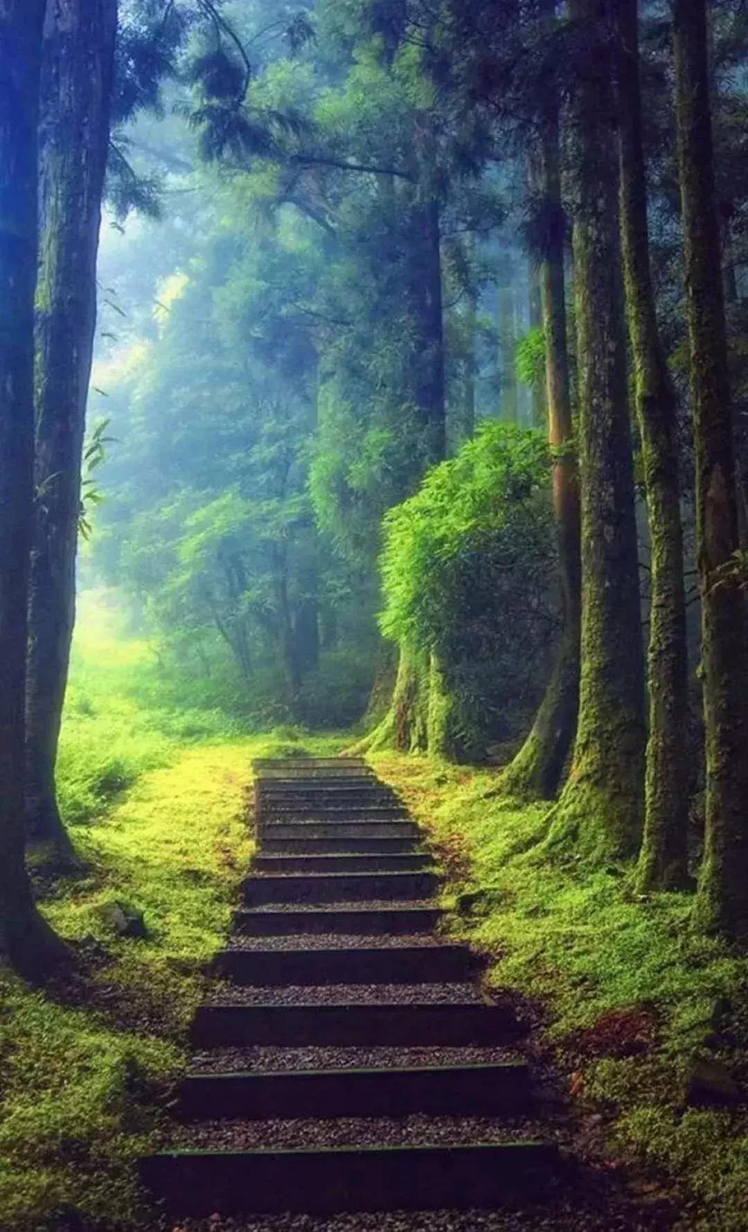 每日一字睿,睿每日一字