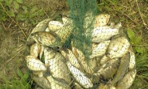 广西南宁钓鱼钓点,广西最新钓鱼技巧