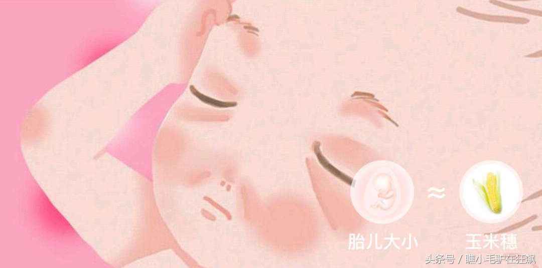 孕期宝宝变化的视频,妊娠第28周胎儿变化