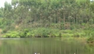 广西南宁钓鱼钓点,广西最新钓鱼技巧