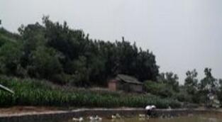 广西南宁钓鱼钓点,广西最新钓鱼技巧