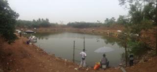 广西南宁钓鱼钓点,广西最新钓鱼技巧