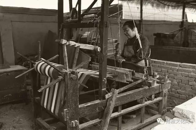 收藏的乐趣在哪里,收藏的乐趣优秀作文