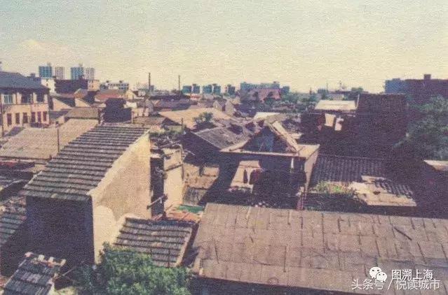 悦读城市,悦读城市完整版