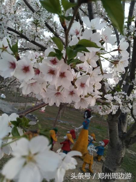 孤柏渡黄河塬蹦极,孤柏渡黄河旅游风景区蹦极还有吗