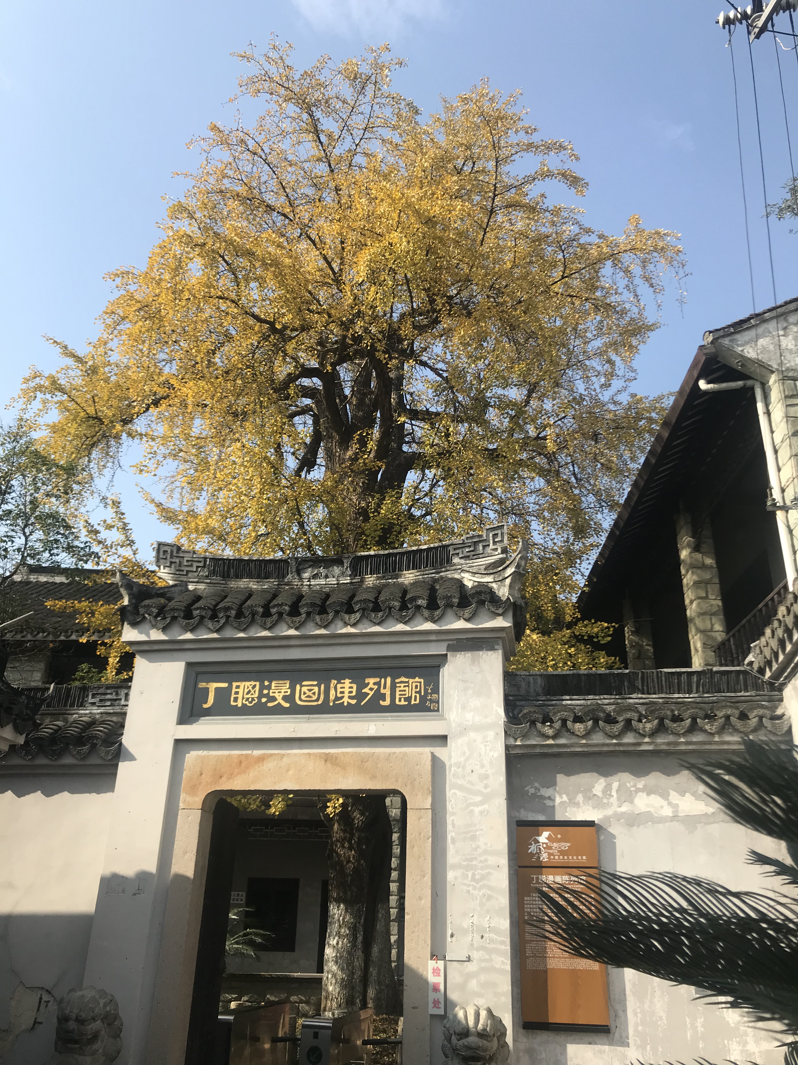 上海市周边有哪些古镇水乡,上海十大古镇排名旅游攻略