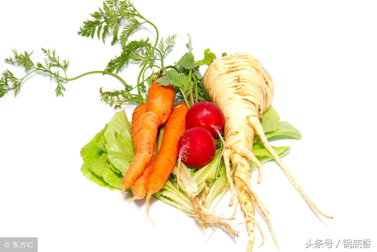 红萝卜的药用价值和功效,红萝卜营养价值功效作用与禁忌