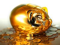 十二生肖运势2019年属猪人运势,属猪本命年流年运势怎么样