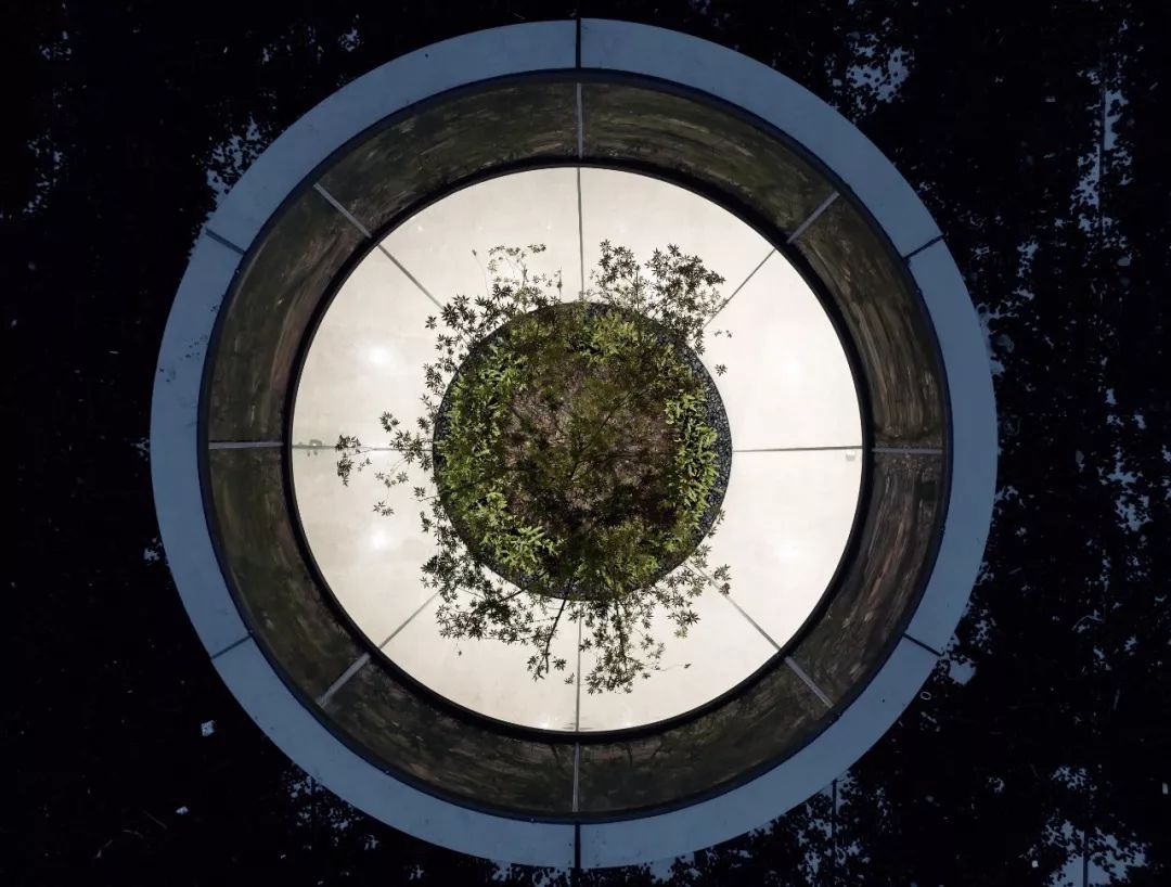 探秘绿城大本营揭露它凭什么让业主回购率高达51%？