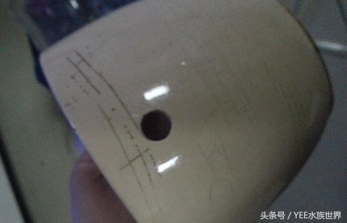 小水泵自制鱼缸过滤系统,小水泵创意作品