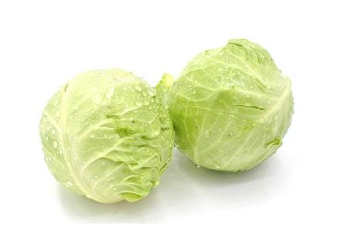 吃什么能改善肥胖肠道菌群,吃着减肥用美食改变肠道菌群