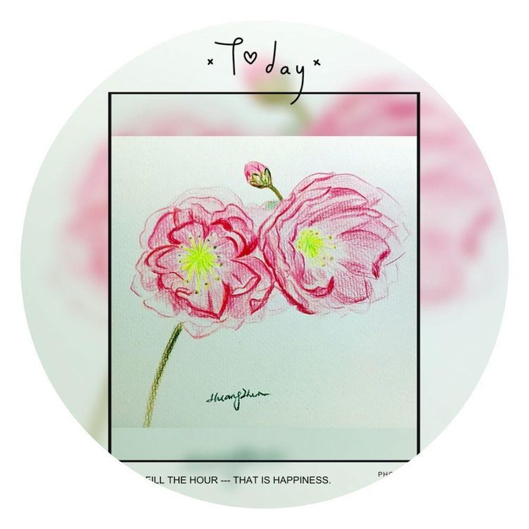 母爱无边致敬伟大的母亲,母爱无边