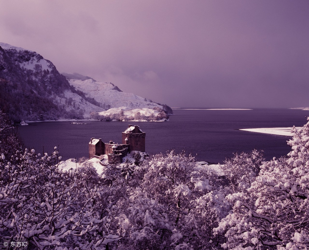 长大了请告别童真,放下梦想准备战斗