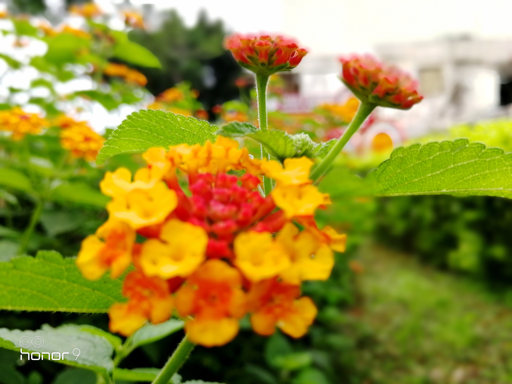 3倍和5倍光学变焦哪个更实用,2倍光学变焦用处大不大