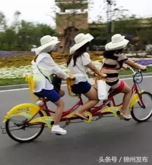 锦州市世博园开园了吗,锦州世博园五一开园