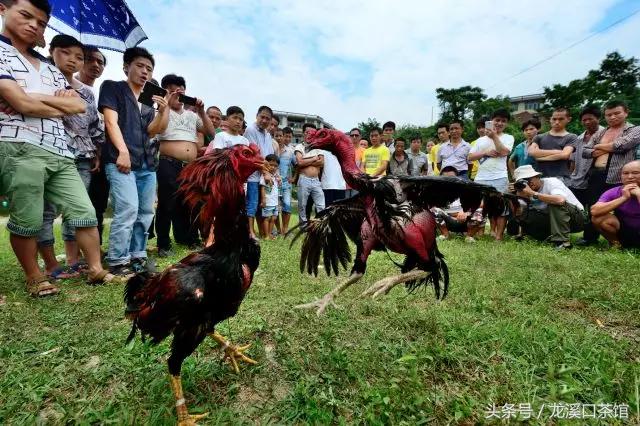 2022城市奇遇季,第二届十大文化旅游名县