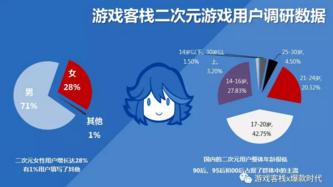 二次元游戏市场分析报告,二次元游戏用户分析报告