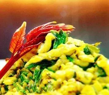 一晚能挣300元的产品,一晚能赚上万元红虫