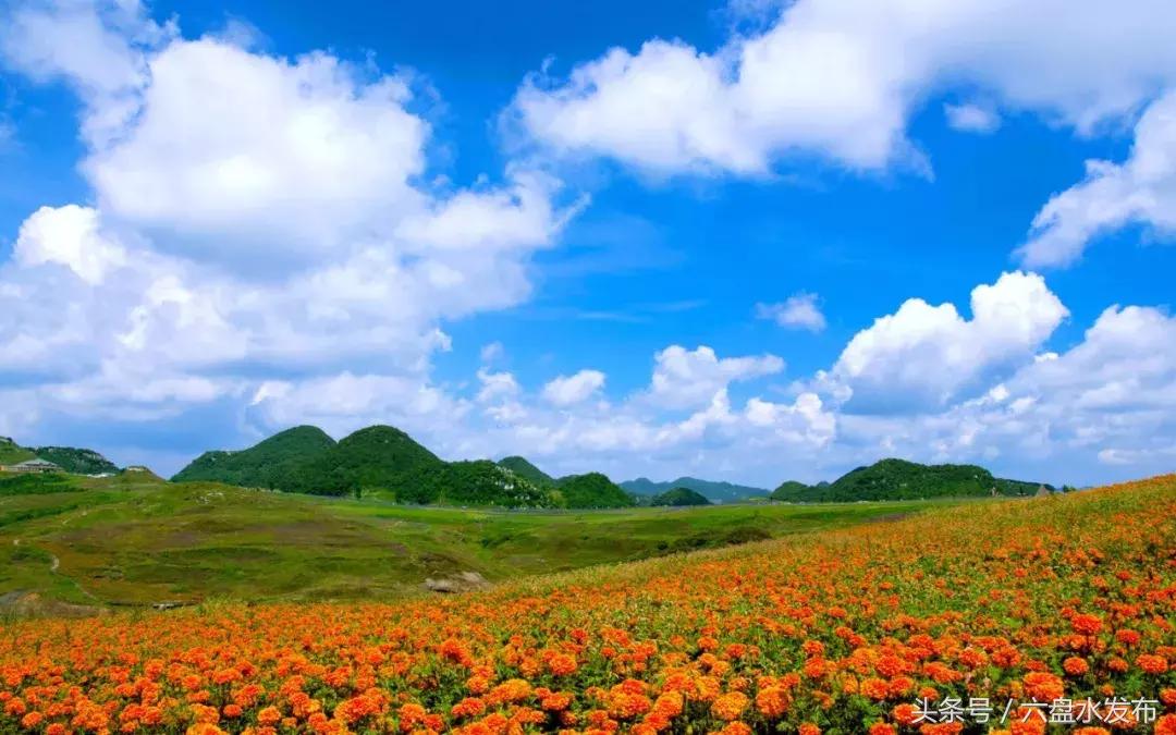 全民开放全国养老市场,开放式养老服务业