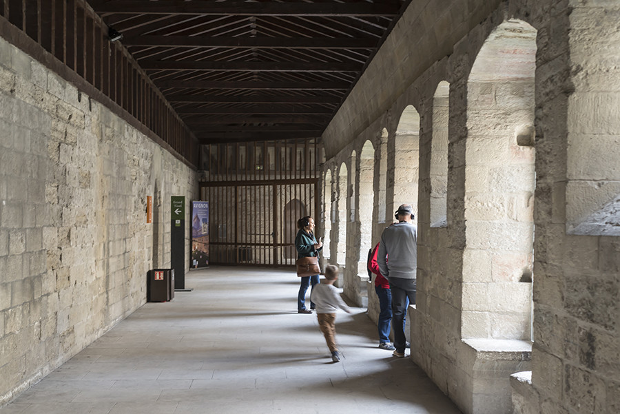 清明时节游法兰西赏历史文化之四：阿维尼翁