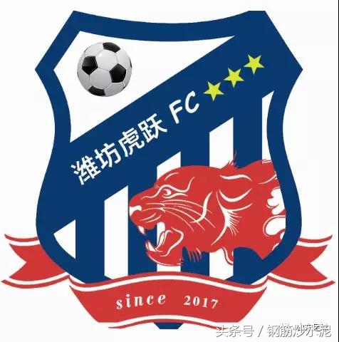 潍坊滨海2019足球联赛,潍坊市将举办青少年足球联赛