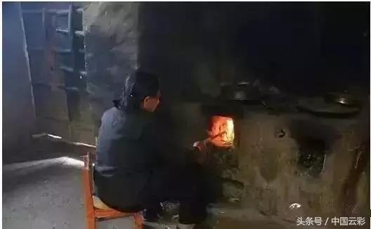 铁芒萁做菜,铁芒萁如何食用