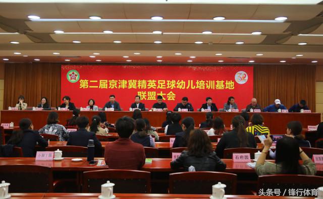 少儿足球培训推广,幼儿足球精英训练班