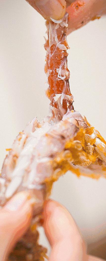 椒盐皮皮虾最简单的做法,椒盐皮皮虾最正宗的做法