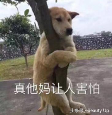 旅行必备好物攻略,短期旅行好物清单