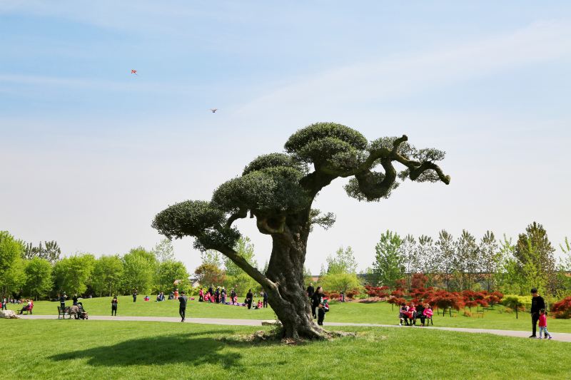 南通旅游攻略必去景点排名,南通紫琅湖公园五一有没有灯光秀