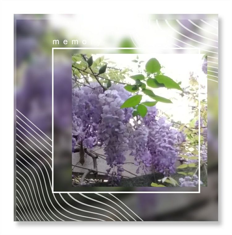 《洞天春》色几多情——（18—7·同韵）