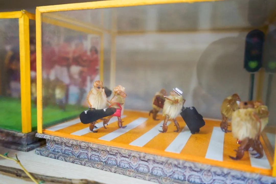 他拜师曹雪芹后人，将虫壳、玉兰变成立体漫画！