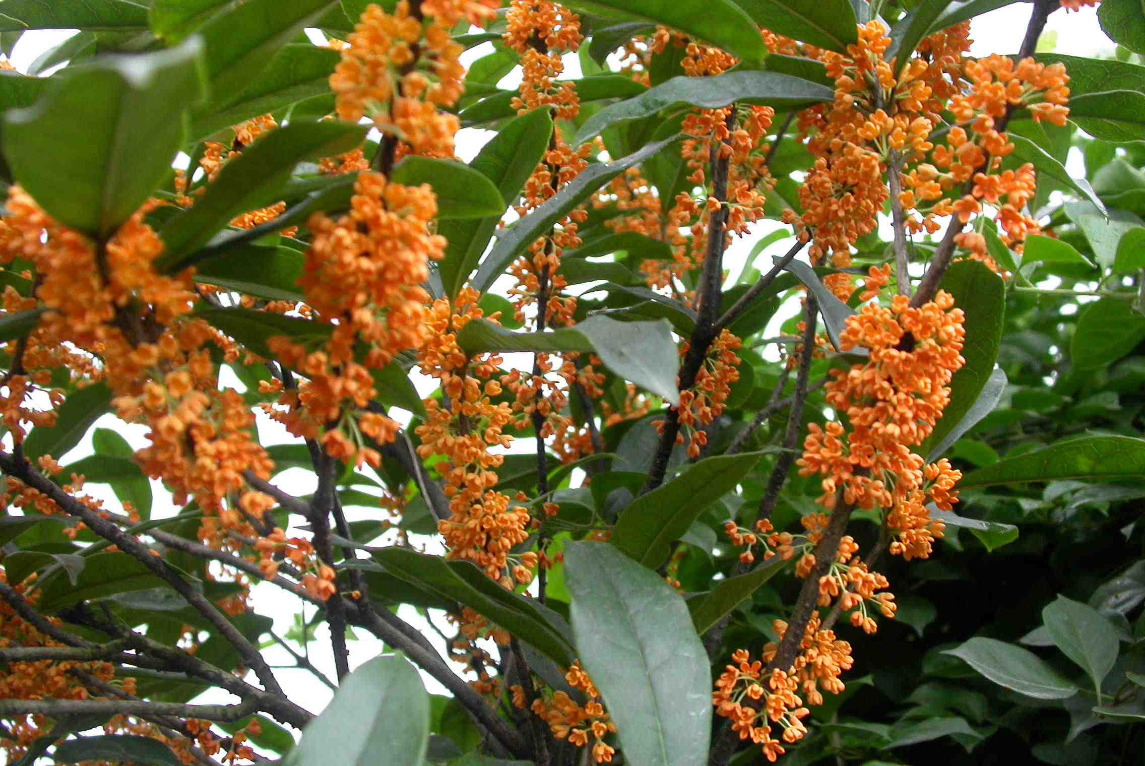 美丽浙江省,美丽浙江杭州图片